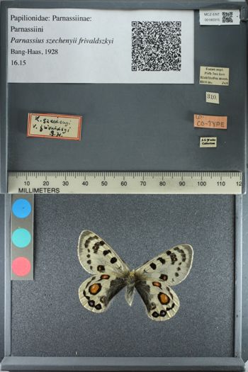 Media type: image;   Entomology 180315
